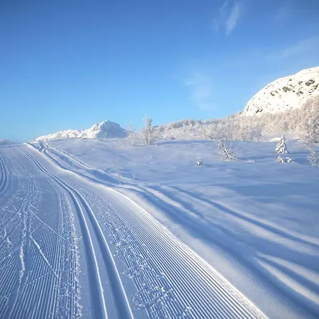 Hébergement de vacances Immaculate In The Heart Of *