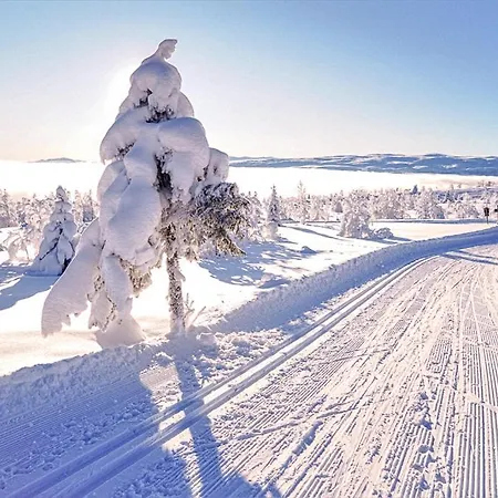 Immaculate In The Heart Of * Beitostolen